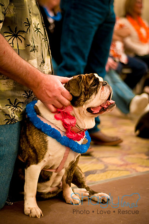 Bully Bash Luau-70
