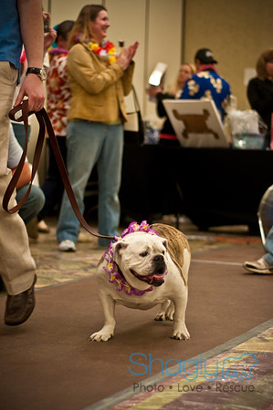 Bully Bash Luau-84