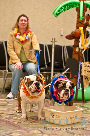 Bully Bash Luau-14