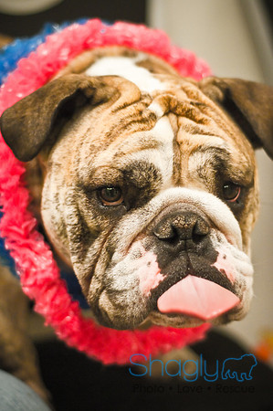 Bully Bash Luau-10
