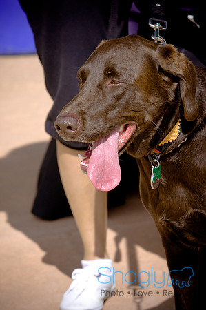 BarkinthePark-3875