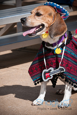 BarkinthePark-3884