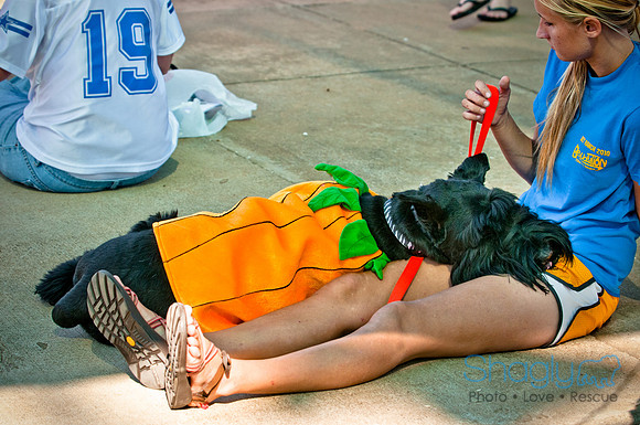 bark in the park 2010-10