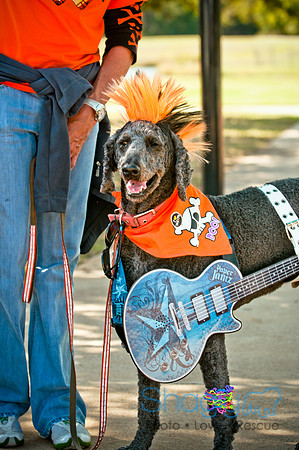 bark in the park 2010-16