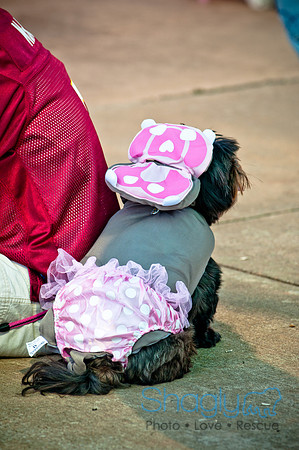 bark in the park 2010-13