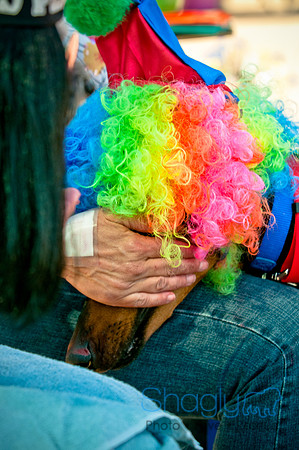 bark in the park 2010-20