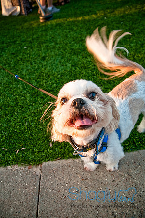 Barkin at the beat-27