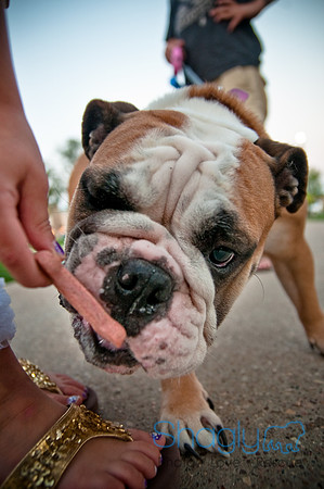 Barkin at the beat-46