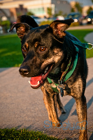 Barkin at the beat-4