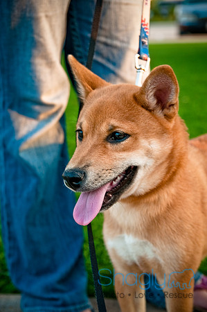 Barkin at the beat-31