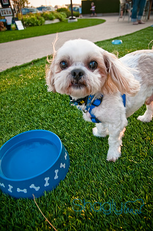 Barkin at the beat-26