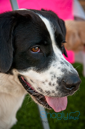 Barkin at the beat-7