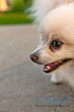 Barkin at the beat-29