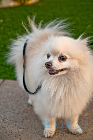Barkin at the beat-35