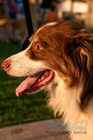 Barkin at the beat-13