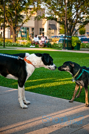 Barkin at the beat-3