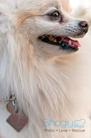 Barkin at the beat-37