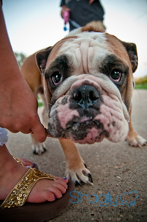 Barkin at the beat-47