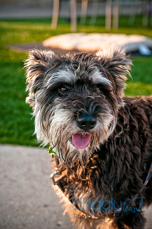 Barkin at the beat-15