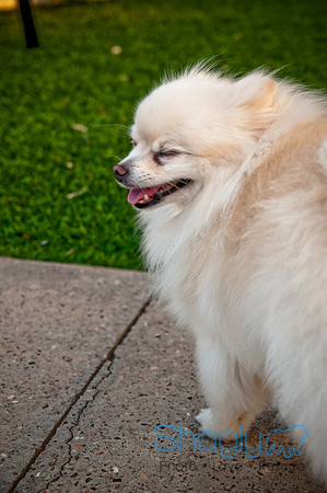 Barkin at the beat-32