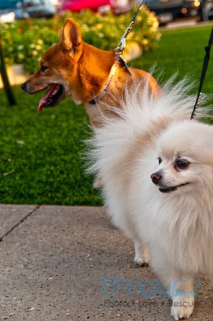Barkin at the beat-33