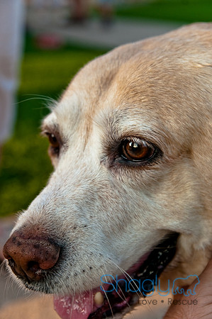 Barkin at the beat-9