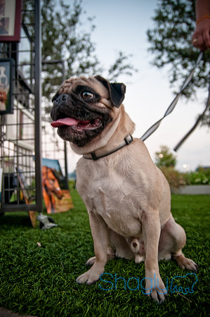 Barkin at the beat-48