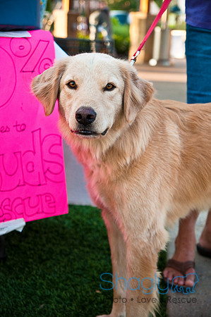 Barkin at the beat-8
