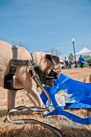 Krewe of Barkus 2011-45