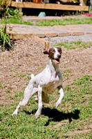 Sofie-7
