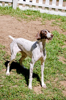 Sofie-4