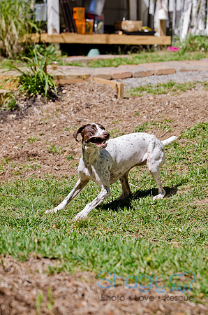 Sofie-28