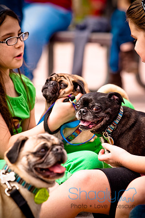 Pugapalooza2010-155