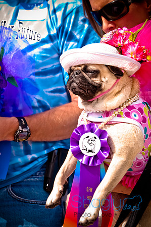 Pugapalooza2010-214