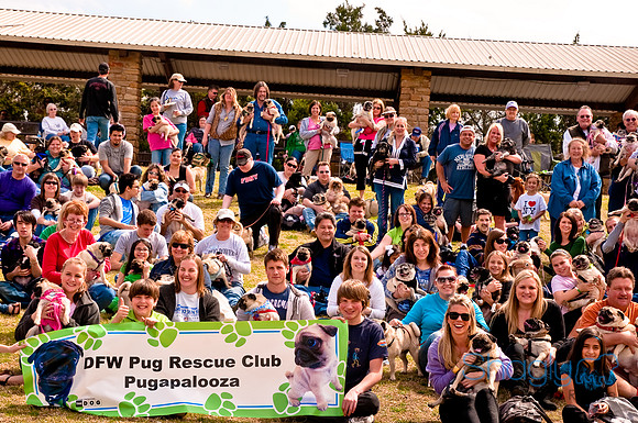 Pugapalooza2010-178