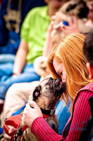 Pugapalooza2010-164