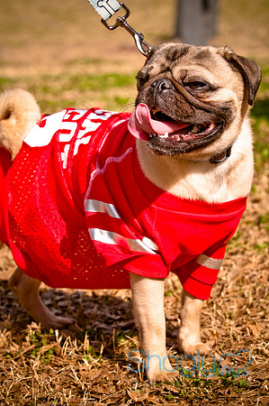 Pugapalooza2010-238