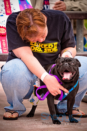Pugapalooza2010-65