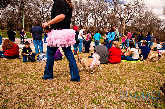 Pugapalooza2010-194