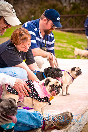 Pugapalooza2010-76