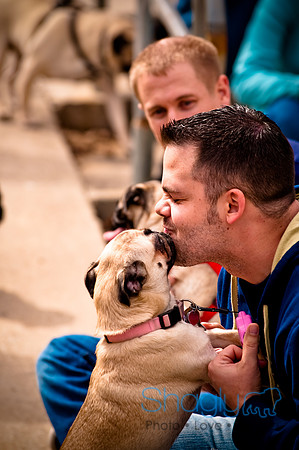 Pugapalooza2010-165