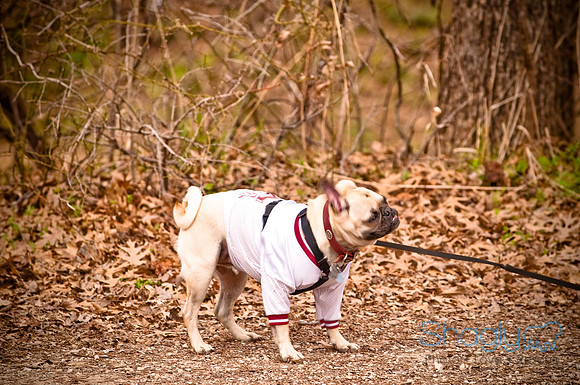 Pugapalooza2010-44