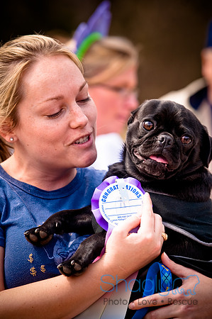 Pugapalooza2010-175