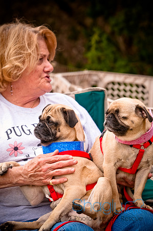 Pugapalooza2010-49