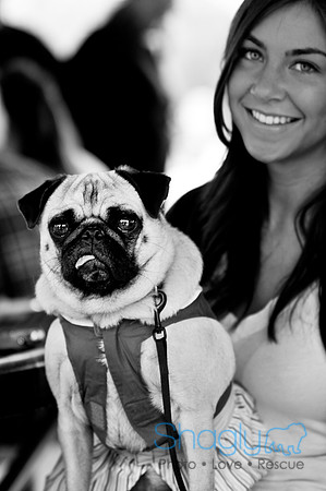 Pugapalooza2010-63