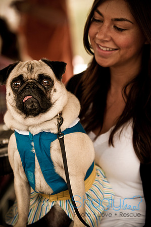 Pugapalooza2010-62
