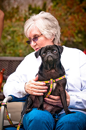 Pugapalooza2010-20