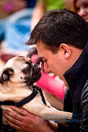 Pugapalooza2010-163
