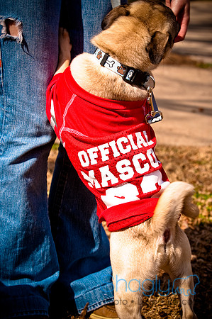 Pugapalooza2010-228