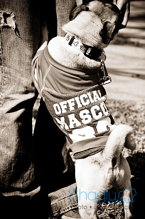 Pugapalooza2010-227